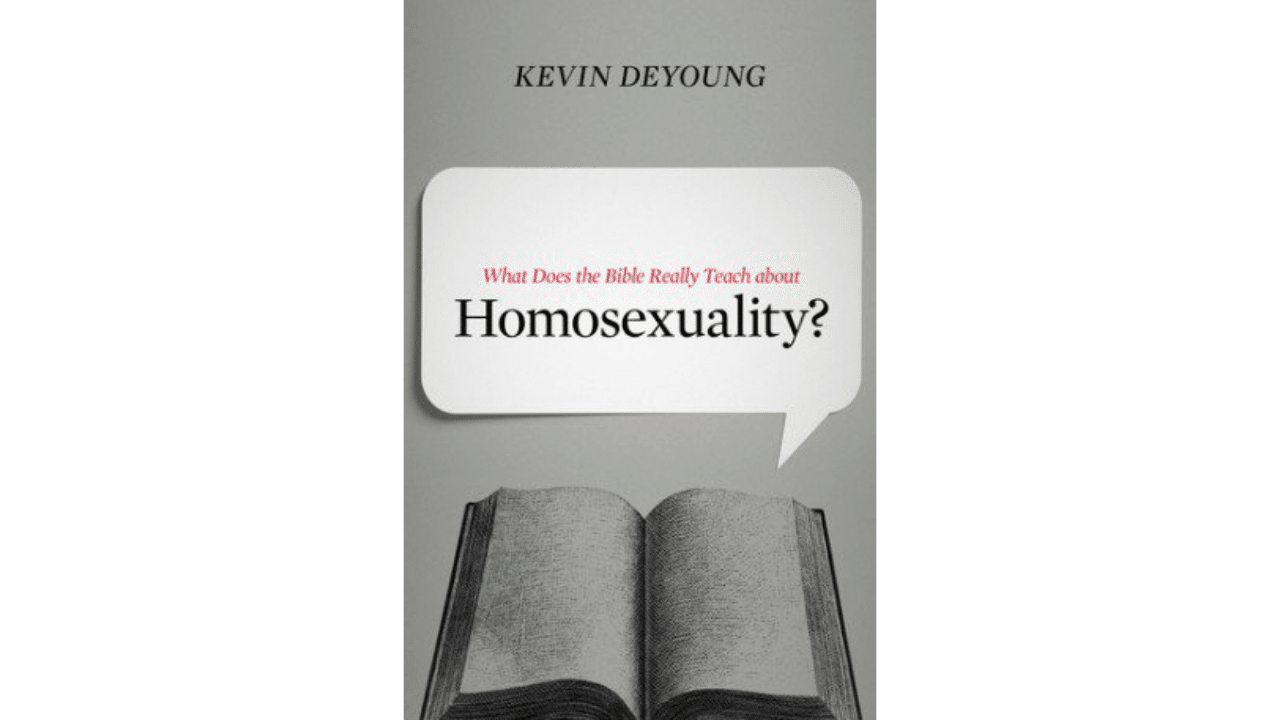 Review What Does The Bible Really Teach About Homosexuality Kris Sinclair